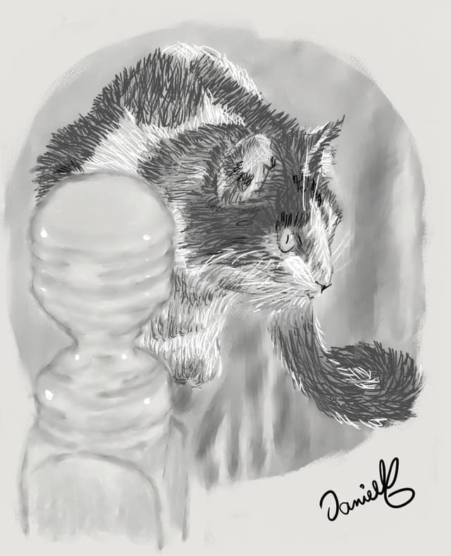 Cat drawing